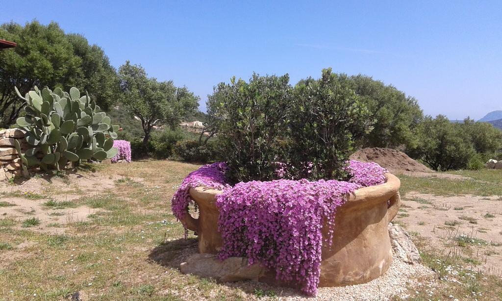 Vila Stazzu Gallurese Portisco Exteriér fotografie